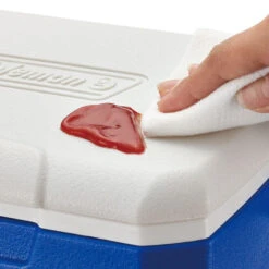 Coleman Performance 5QT Personal Cooler -Outdoor Camping Store k46f35c6c2c6dd2c6e9c46849a7f097f7